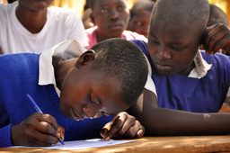 Student Writing